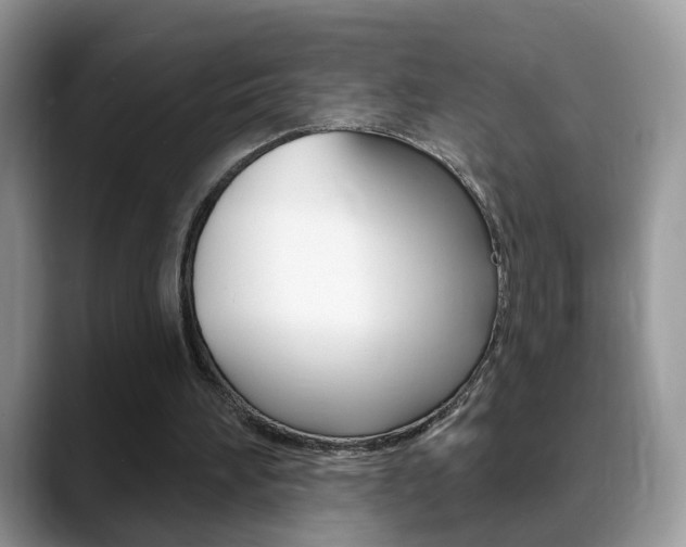 X0000088880196200706080748