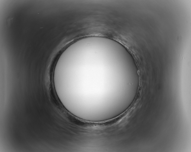 X0000088880198200706080748