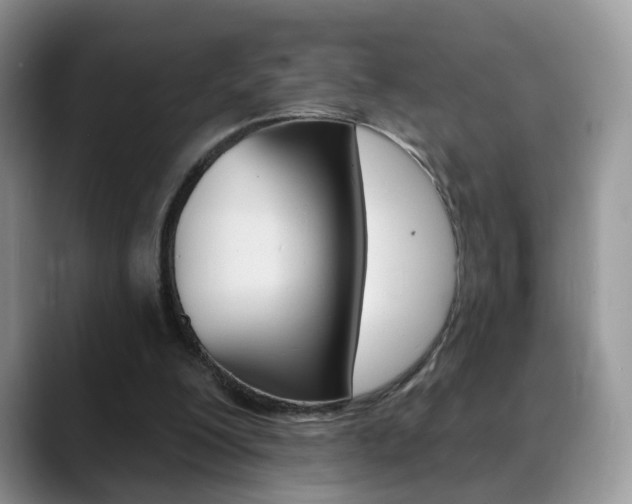 X0000088880200200706080748