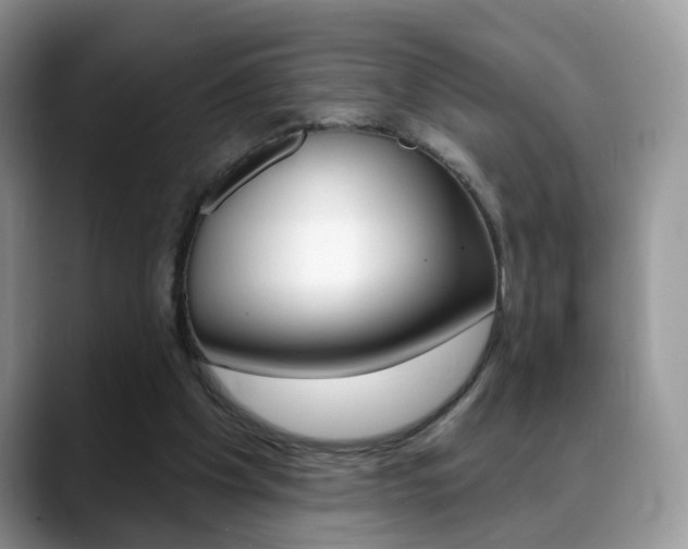 X0000088880201200706080748