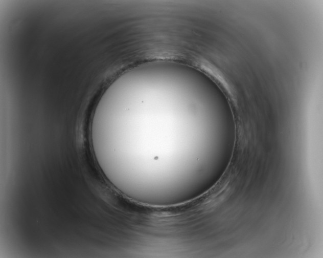X0000088880203200706080748