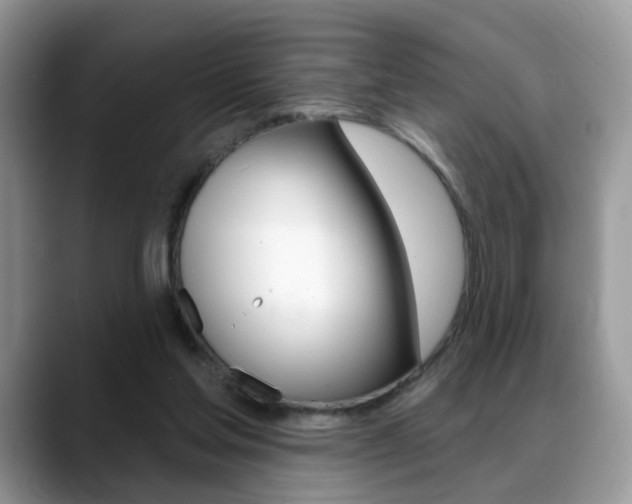 X0000088880205200706080748