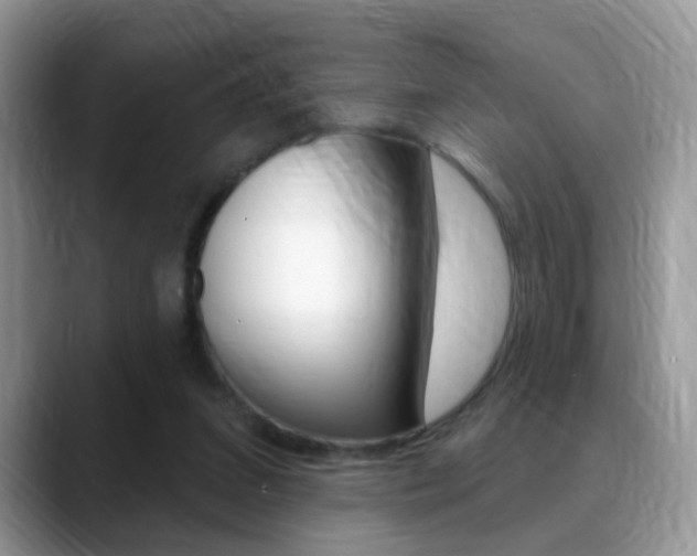 X0000088880207200706080748