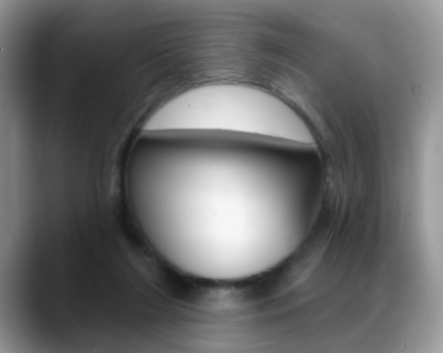 X0000088880212200706080747