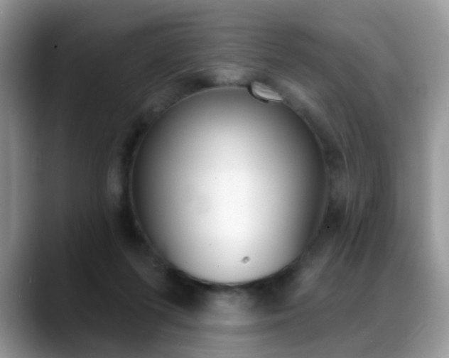 X0000088880215200706080747