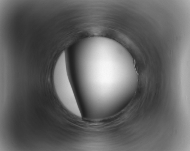 X0000088880217200706080747