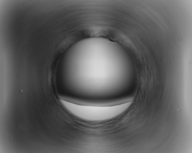 X0000088880219200706080747