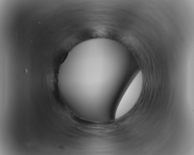 X0000088880223200706080747