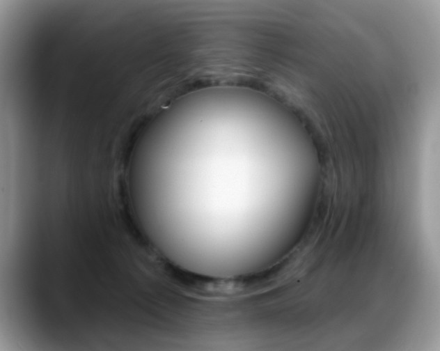 X0000088880225200706080747