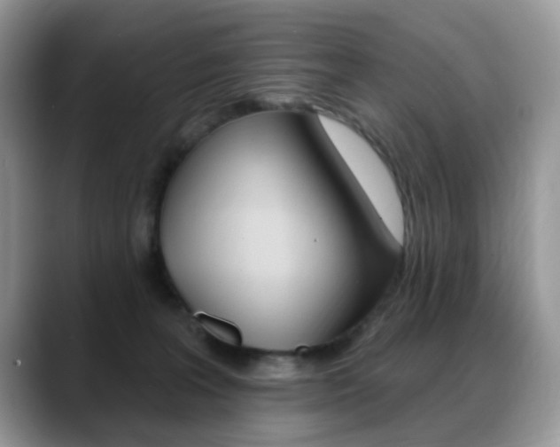 X0000088880227200706080747