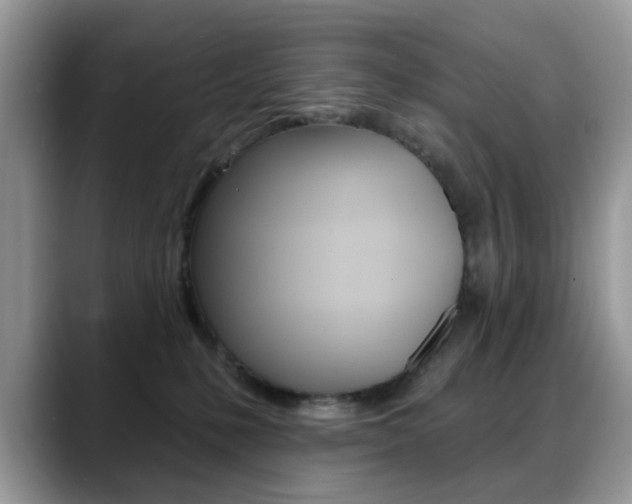 X0000088880231200706080747
