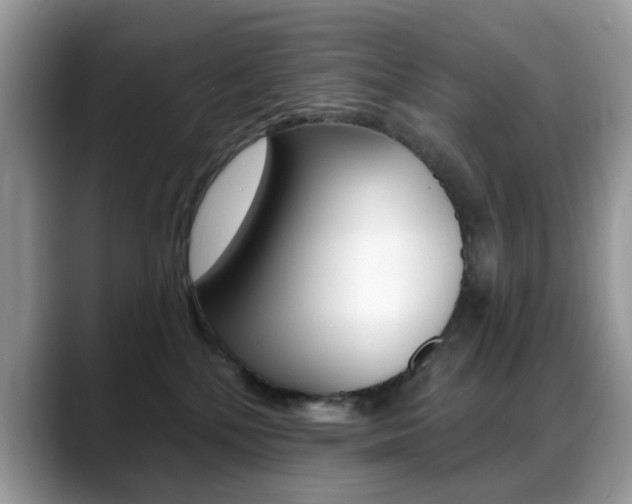 X0000088880232200706080747