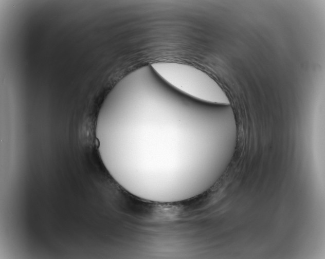 X0000088880234200706080747