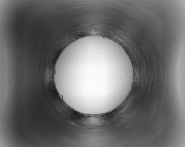 X0000088880236200706080747