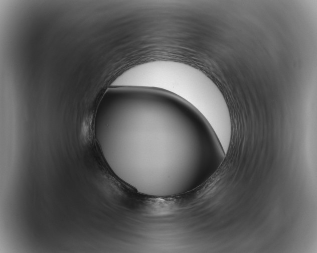 X0000088880239200706080747