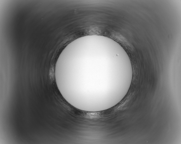 X0000088880240200706080747