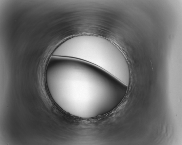 X0000088880241200706080746