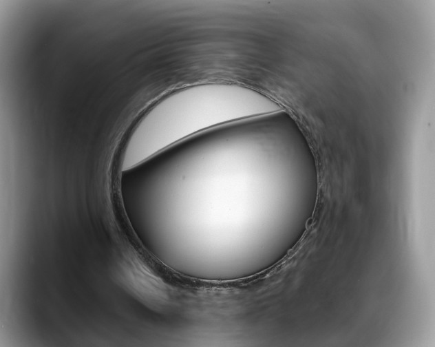 X0000088880242200706080746