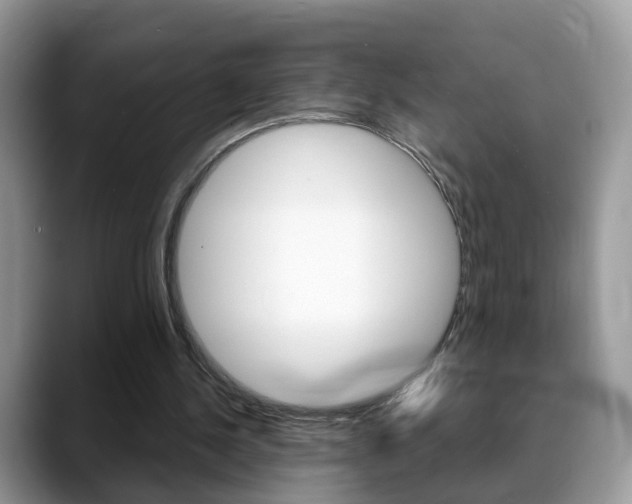 X0000088880244200706080746