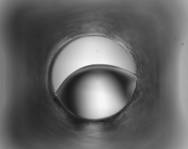 X0000088880248200706080747