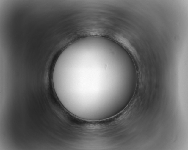 X0000088880250200706080747