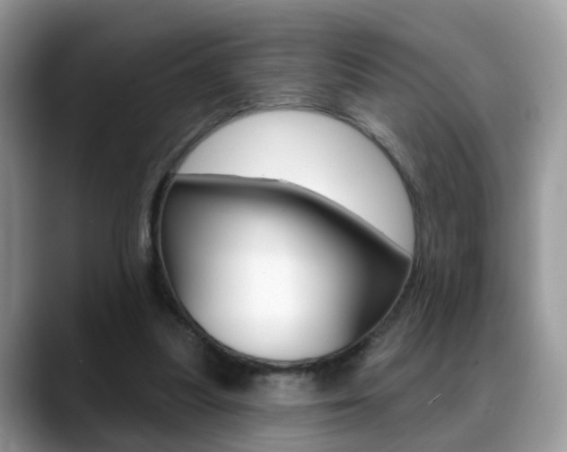 X0000088880251200706080747