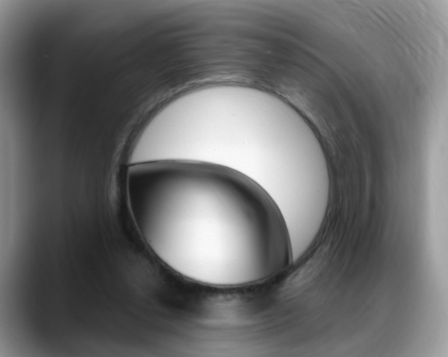 X0000088880252200706080747