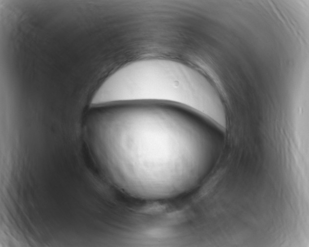 X0000088880257200706080747