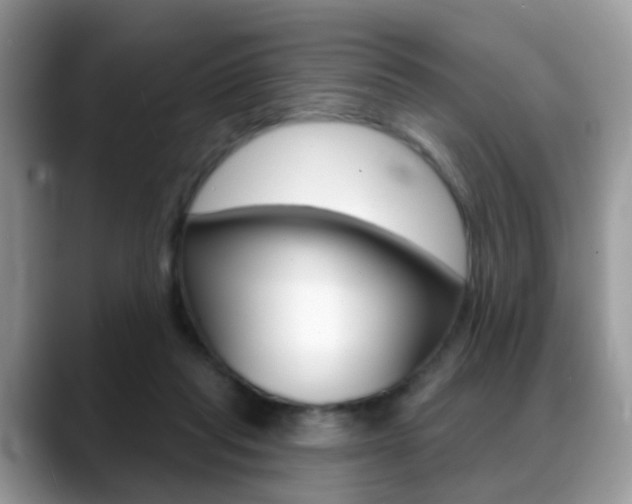 X0000088880261200706080747