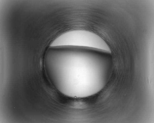 X0000088880262200706080747