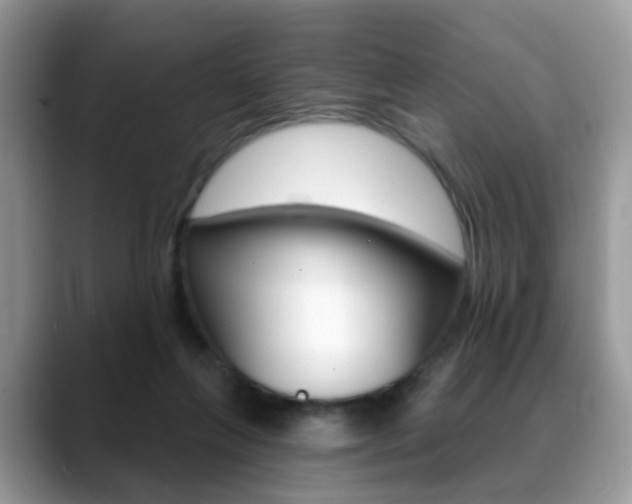 X0000088880263200706080747