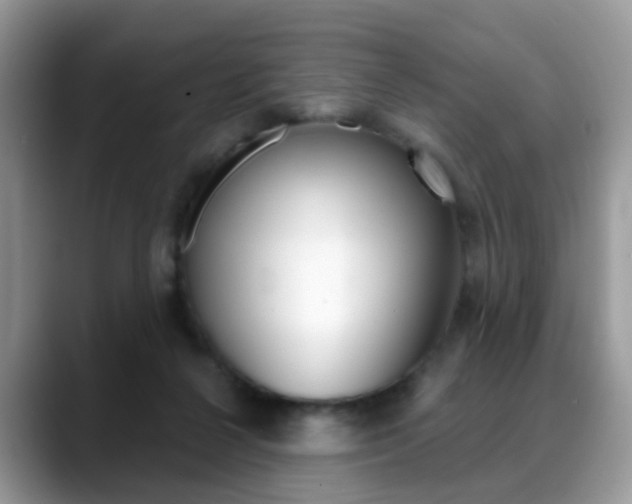 X0000088880264200706080747
