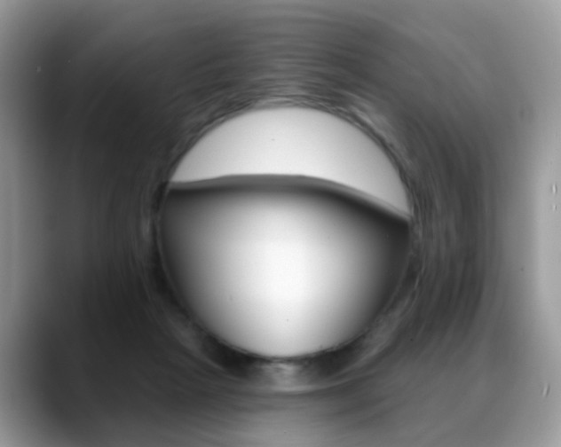 X0000088880265200706080747