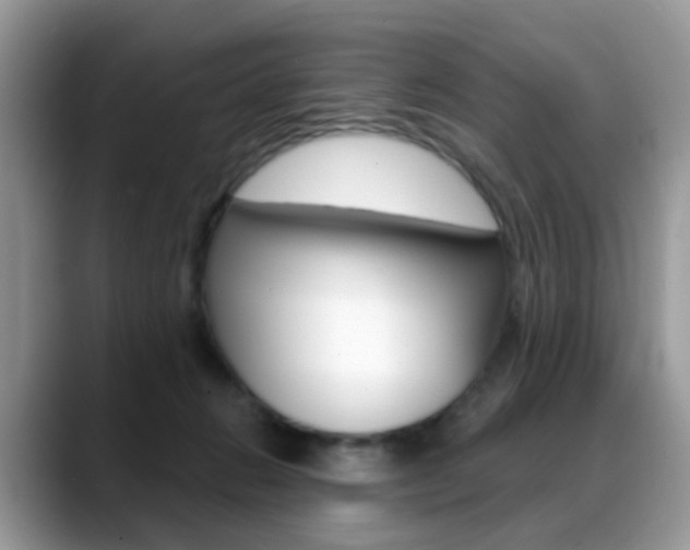 X0000088880270200706080747