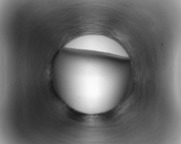 X0000088880273200706080747