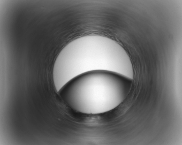 X0000088880274200706080747