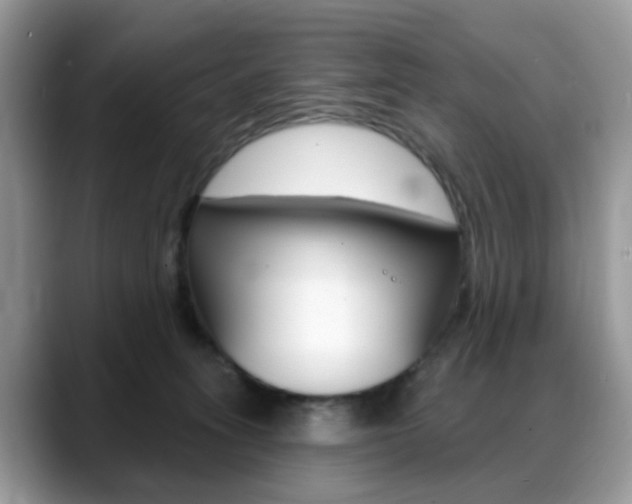 X0000088880275200706080747