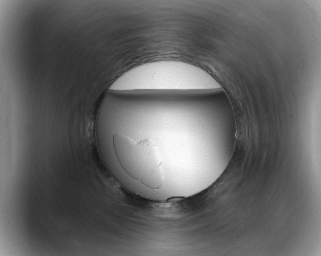 X0000088880281200706080747