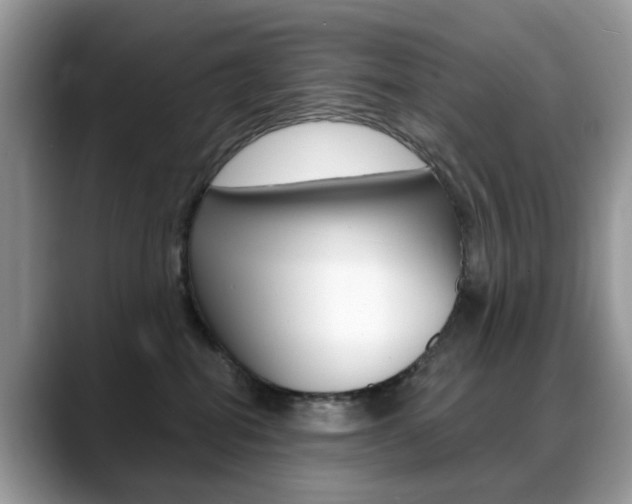 X0000088880282200706080747
