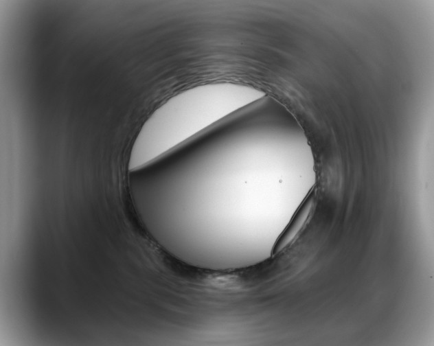 X0000088880283200706080747