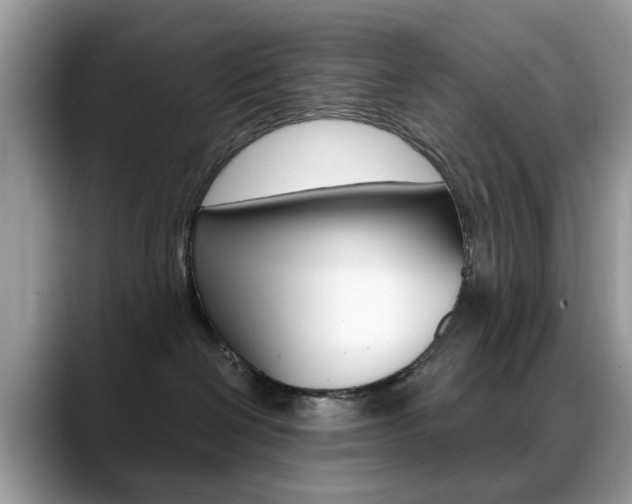 X0000088880286200706080747