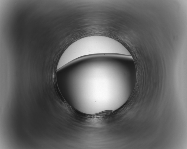 X0000088880288200706080747