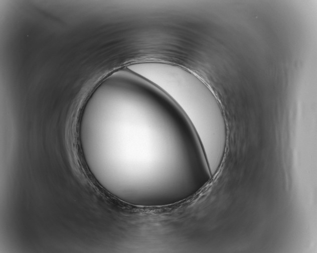 X0000088880289200706080746