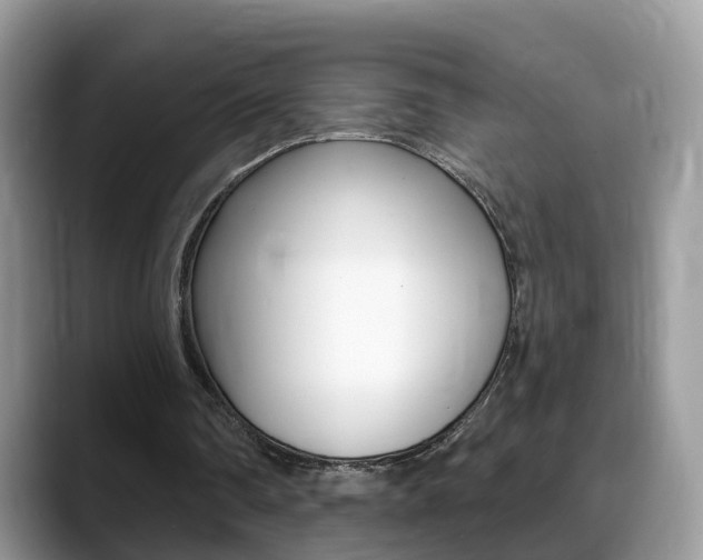 X0000088880290200706080746