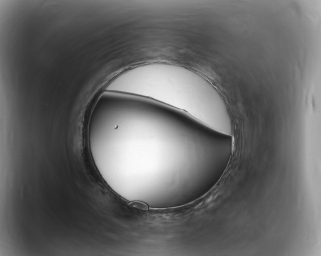 X0000088880291200706080746
