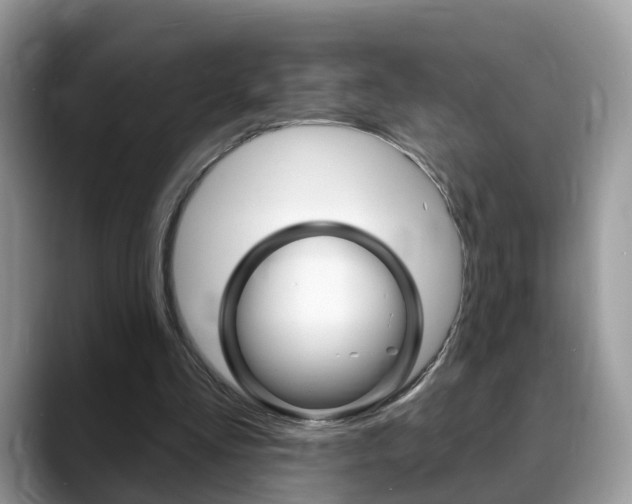 X0000088880293200706080746