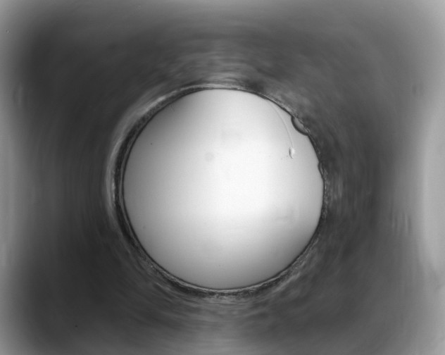 X0000088880294200706080746