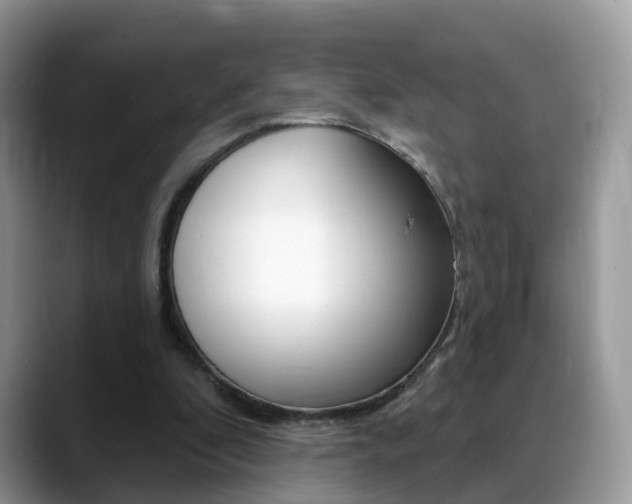 X0000088880296200706080746