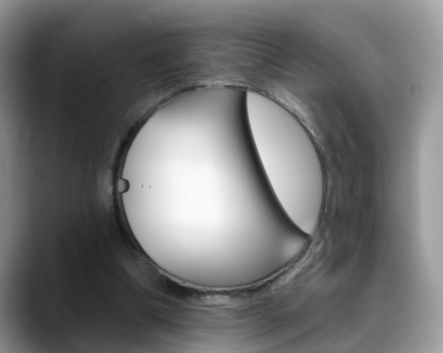 X0000088880298200706080746