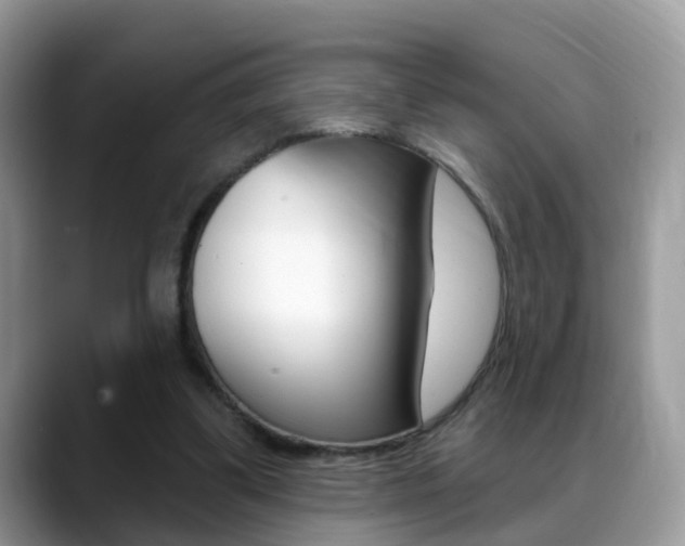 X0000088880299200706080746